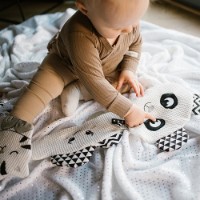 Jucărie de pluș BabyOno Happy Panda (1533) imaginea #3 — magazin online Desire.md