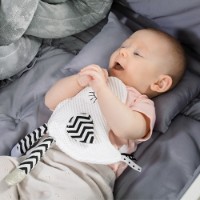 Мягкая игрушка BabyOno Little Birdie (1536) фото №2 — интернет-магазин Desire.md