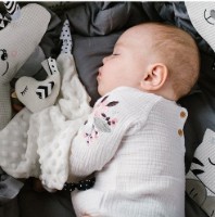 Мягкая игрушка BabyOno Little Birdie (1537) фото №2 — интернет-магазин Desire.md