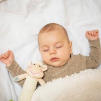 Игрушка-прорезыватель BabyOno Sweet Lambie (606) фото №5 — интернет-магазин Desire.md