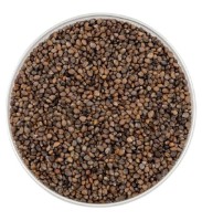 Semințe de ridiche Microgreenz 500gr