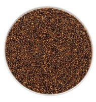 Semințe de varză roșie Microgreenz 500gr