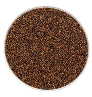 Semințe de varză roșie Microgreenz 500gr