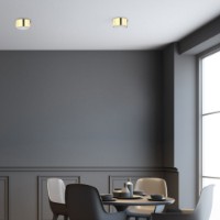 Спот Tk-Lighting Dallas TK-6096 фото №3 — интернет-магазин Desire.md