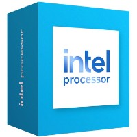 Procesor Intel Processor 300 Box