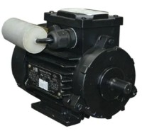 Motor electric Mogilevsk AIRE 80C 2 (10809211)