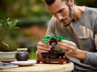 Set de construcție Lego Botanical Collection: Bonsai Tree (10281) imaginea #7 — magazin online Desire.md