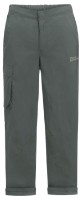 Детские спортивные штаны Jack Wolfskin Desert Pants K Gray 152
