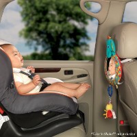 Oglinda multifunctionala pentru monitorizarea bebelusului tau Bright Starts See and Play (8817) imaginea #3 — magazin online Desire.md