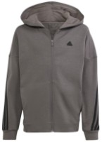 Детская толстовка Adidas U Fi 3S Fz Hd Charcoal/Black, s.176