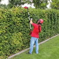 Fierăstrău de taiat la înălțime Einhell 34.108.00 imaginea #2 — magazin online Desire.md