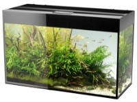 Acvariu Aquael Glossy 100 (112649)