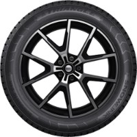 Шина Triangle PL01 255/50 R19 107R фото №3 — интернет-магазин Desire.md