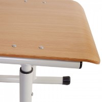 Scaun școlar Tisam (32182HPL) Gri/Fag imaginea #3 — magazin online Desire.md