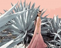 Tablou pe numere Strateg Возле алоэ (GS1322)