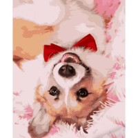 Tablou pe numere Strateg Корги с галстуком (HH012)