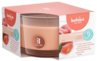Lumânare Bolsius 101925256780
