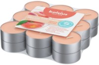 Lumânare Bolsius 101926943480 18pcs