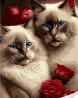 Tablou pe numere Strateg Котики в розах (GS1618)