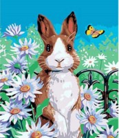 Tablou pe numere Strateg Кролик в ромашках (SS1002)
