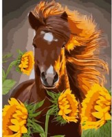 Tablou pe numere Strateg Лошадь среди подсолнечников (GS975)