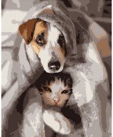 Tablou pe numere Strateg Пес и кот (DY224)
