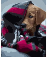 Tablou pe numere Strateg Песик под одеялом (GS1296)