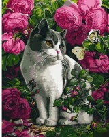 Tablou pe numere Strateg Розы и кот (GS1038)