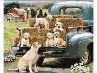 Tablou pe numere Strateg Собачья семья на ферме (GS1620)