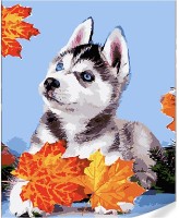 Tablou pe numere Strateg Хаски в листьях (GS1628)