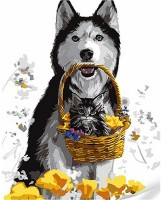 Tablou pe numere Strateg Хаски и котенок в корзине (SS1060)