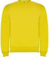 Мужская толстовка Roly Clasica 1070 Yellow, s.M
