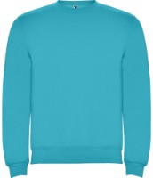 Мужская толстовка Roly Clasica 1070 Turquoise, s.S