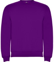 Мужская толстовка Roly Clasica 1070 Purple, s.S