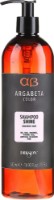 Шампунь для волос Dikson Argabeta Shine Shampoo 500ml
