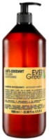 Шампунь для волос Dikson Every Green Anti-Oxidant 1000ml