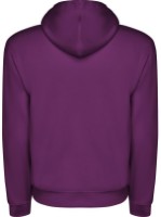 Детская толстовка Roly Capucha 1087 Purple, 5-6 years фото №2 — интернет-магазин Desire.md