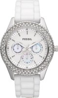 Наручные часы Fossil ES3001