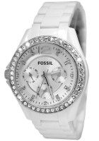 Наручные часы Fossil ES3252