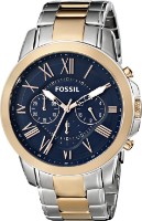 Наручные часы Fossil FS5024