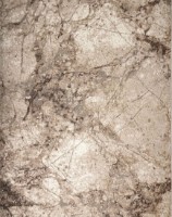 Covor CarpetLux Cappuccino 16139/11 2.50x8.00m