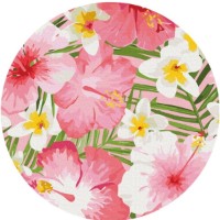 Tablou pe numere Brushme Островные цветы (RC00043FC)