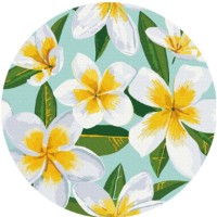 Tablou pe numere Brushme Плюмерия (RC00046FC)