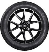Шина Triangle PL01 215/55 R17 98R фото №2 — интернет-магазин Desire.md