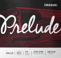 Corzi DAddario J1010 4/4