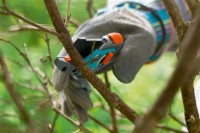 Foarfecă de gradină (secatore) Gardena Classic Anvil (8755-20) imaginea #3 — magazin online Desire.md