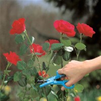 Foarfecă de gradină (secatore) Gardena Rose Cutter (0359-20)