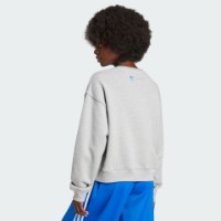 Hanorac damă Adidas Ksenia Tag Swt Medium Grey Heather, s.XL imaginea #3 — magazin online Desire.md