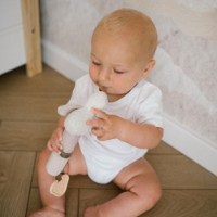 Игрушка-прорезыватель BabyOno Goose Zoe (1555) фото №4 — интернет-магазин Desire.md