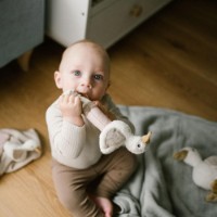 Игрушка-прорезыватель BabyOno Goose Zoe (1555) фото №5 — интернет-магазин Desire.md
